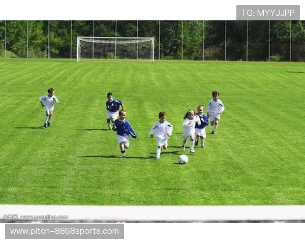 足球球星全景档案解析：成就、传奇与背后的奋斗故事